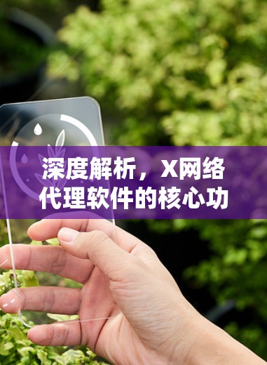 深度解析，X网络代理软件的核心功能与应用场景
