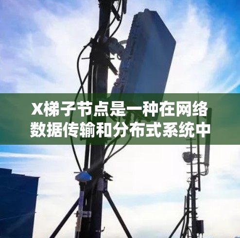 X梯子节点是一种在网络数据传输和分布式系统中使用的高性能节点,主要用于优化数据的分发和下载速度。以下是对X梯子节点的详细分析 X梯子节点是一种在网络数据传输和分布式系统中使用的高性能节点,主要用于优化数据的分发和下载速度。以下是对X梯子节点的详细分析