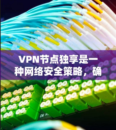 VPN节点独享是一种网络安全策略，确保每个用户都有专用的VPN服务器，避免共享节点带来的安全隐患