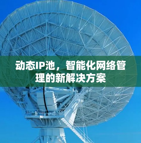 动态IP池,智能化网络管理的新解决方案 动态IP池,智能化网络管理的新解决方案