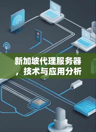 新加坡代理服务器,技术与应用分析 新加坡代理服务器,技术与应用分析