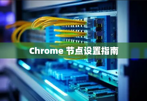 Chrome 节点设置指南 Chrome 节点设置指南