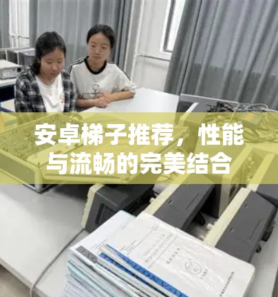 安卓梯子推荐,性能与流畅的完美结合 安卓梯子推荐,性能与流畅的完美结合