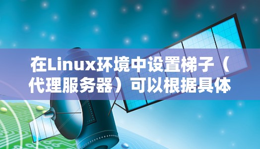 在Linux环境中设置梯子（代理服务器）可以根据具体需求有多种方法。以下是一些常见的梯子设置方法，假设你是想设置一个简单的HTTP/HTTPS代理服务器