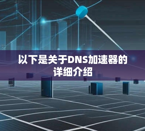 以下是关于DNS加速器的详细介绍