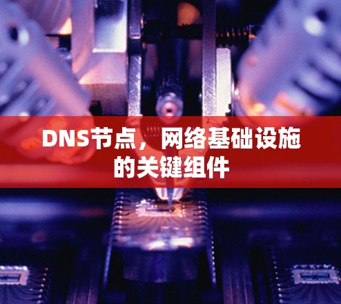 DNS节点,网络基础设施的关键组件 DNS节点,网络基础设施的关键组件