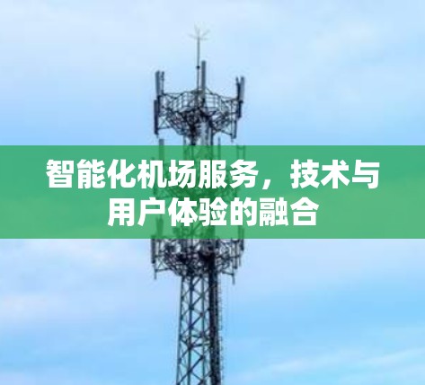 智能化机场服务，技术与用户体验的融合