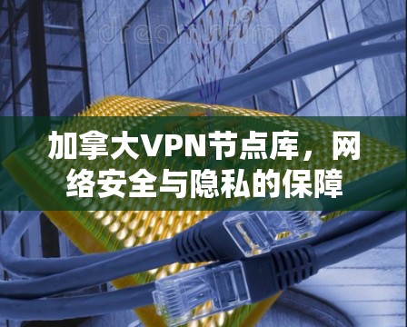 加拿大VPN节点库，网络安全与隐私的保障