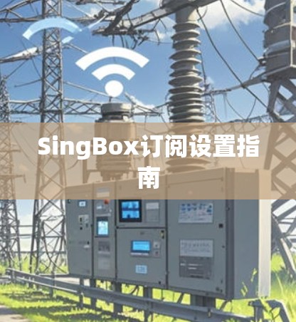SingBox订阅设置指南 SingBox订阅设置指南