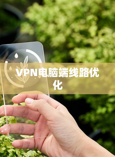 VPN电脑端线路优化
