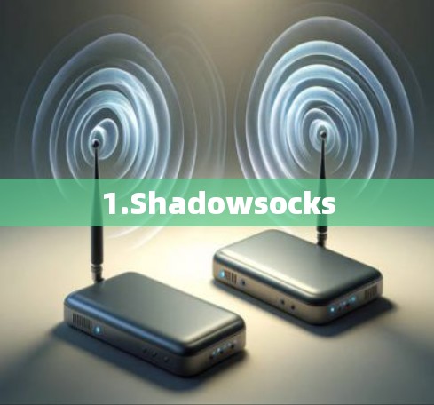 1.Shadowsocks