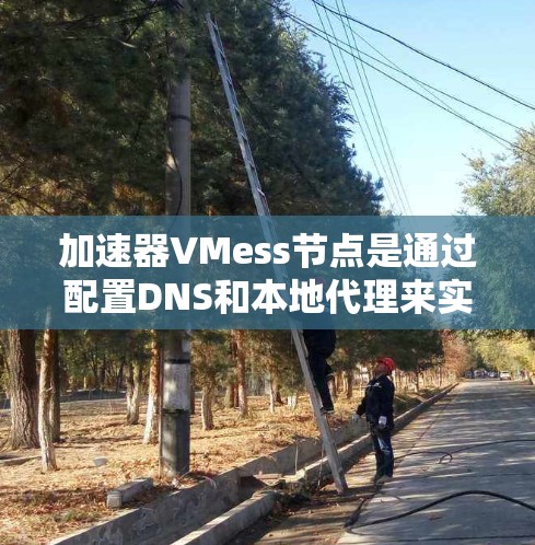 加速器VMess节点是通过配置DNS和本地代理来实现网络访问的加速。以下是详细步骤和注意事项