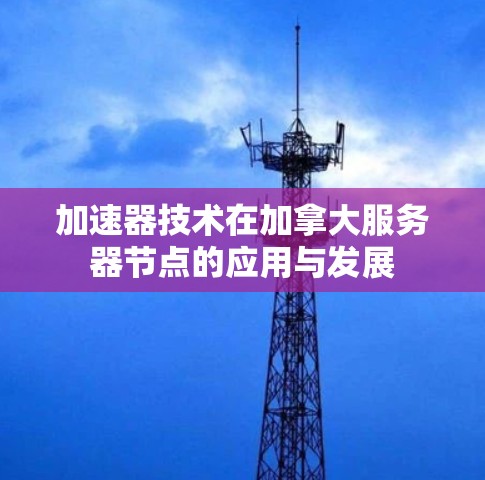 加速器技术在加拿大服务器节点的应用与发展