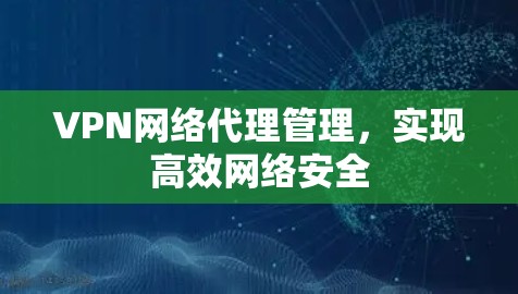 VPN网络代理管理，实现高效网络安全