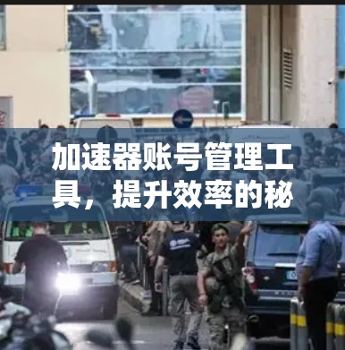 加速器账号管理工具，提升效率的秘密武器