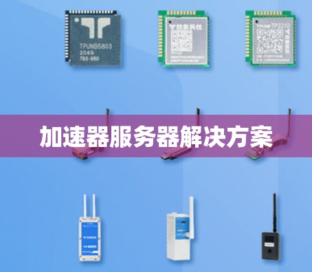 加速器服务器解决方案 加速器服务器解决方案