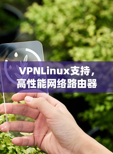 VPNLinux支持,高性能网络路由器系统的核心优势分析 VPNLinux支持,高性能网络路由器系统的核心优势分析