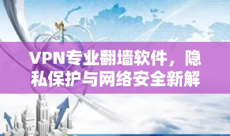 VPN专业翻墙软件,隐私保护与网络安全新解决方案 VPN专业翻墙软件,隐私保护与网络安全新解决方案