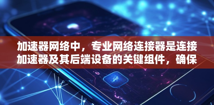 加速器网络中，专业网络连接器是连接加速器及其后端设备的关键组件，确保高性能和稳定通信。以下是对专业网络连接器的详细总结