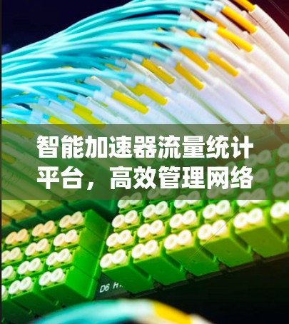 智能加速器流量统计平台，高效管理网络流量