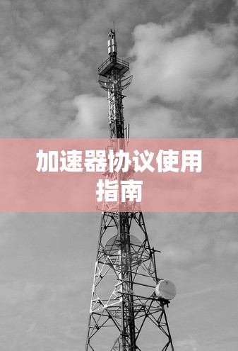 加速器协议使用指南