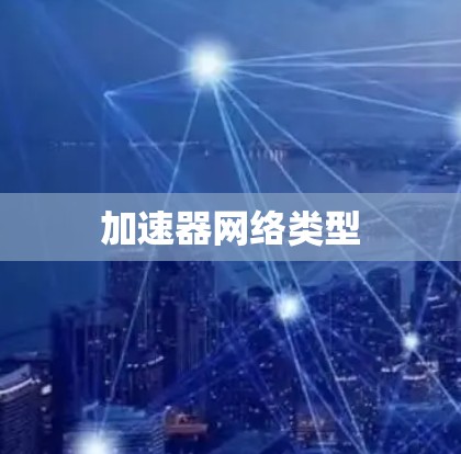 加速器网络类型