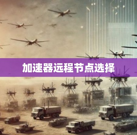 加速器远程节点选择